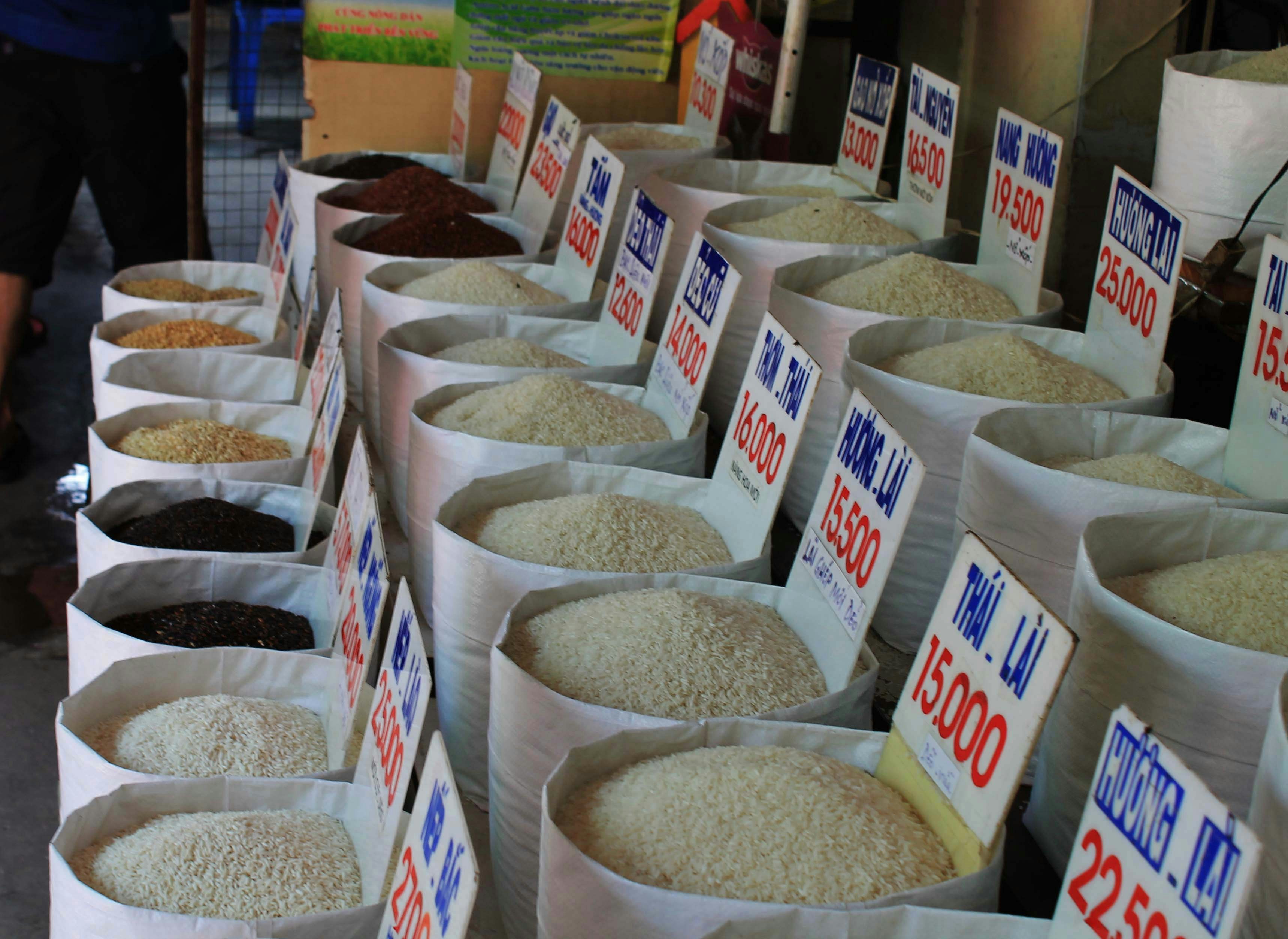 Rice